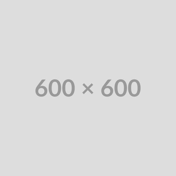 A beautiful landscape captured in perfect lighting